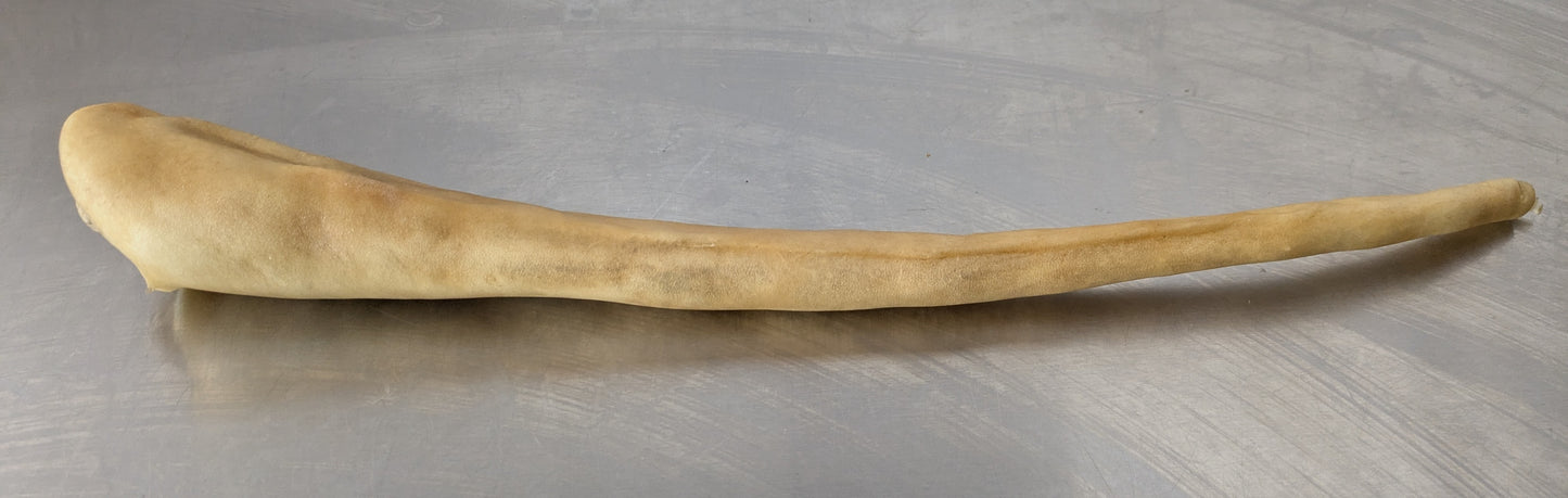 Whole Buffalo Tail (Single)