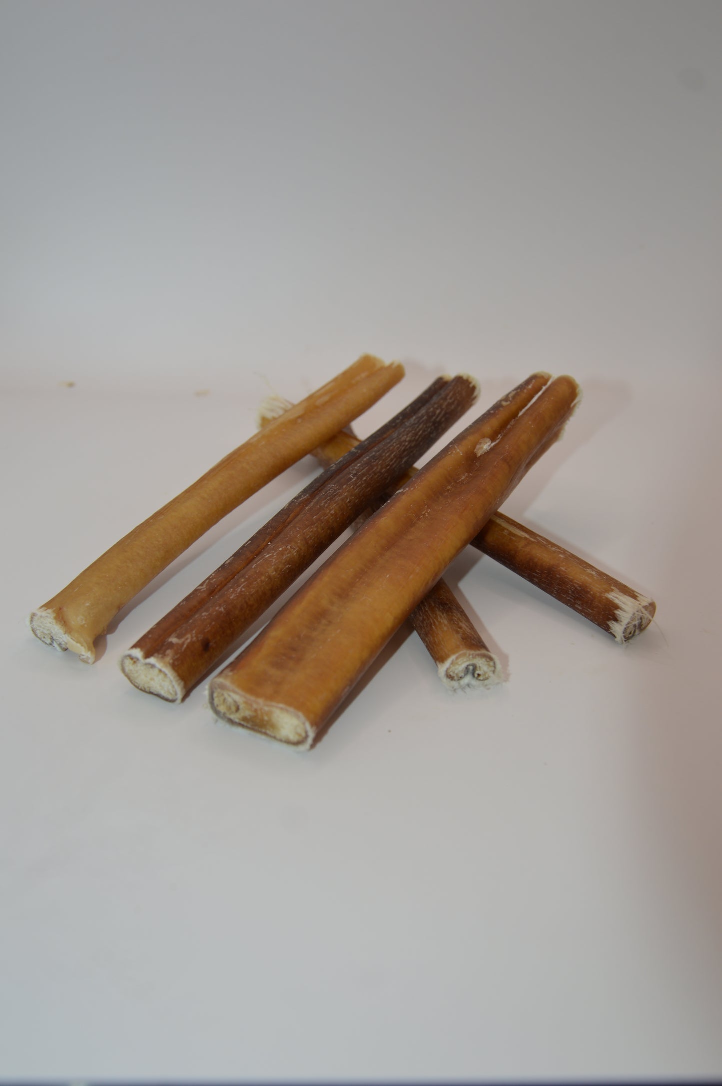 15 cm Odourless Pizzle (single)