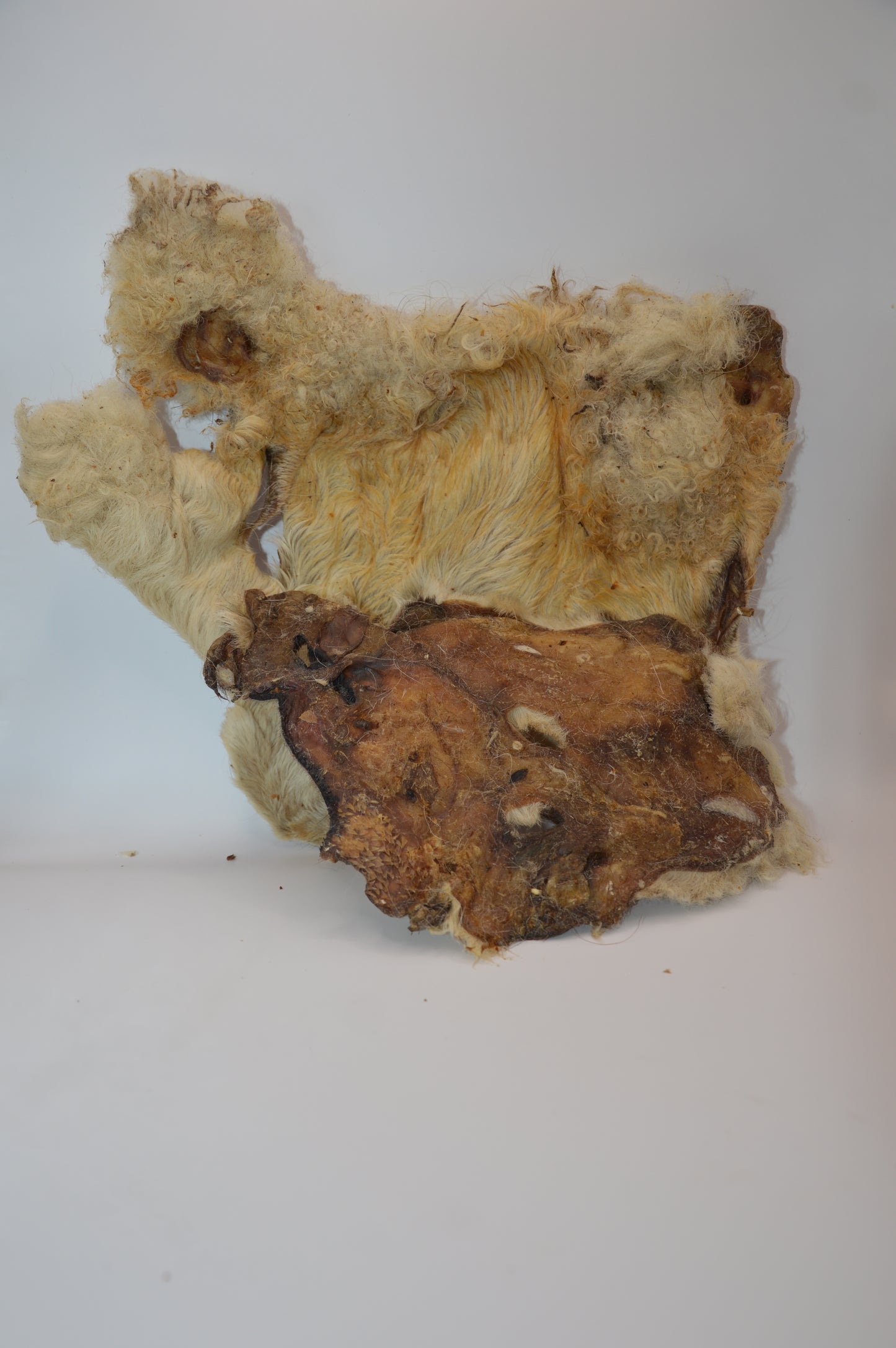 Lamb Bark with Hair (single)