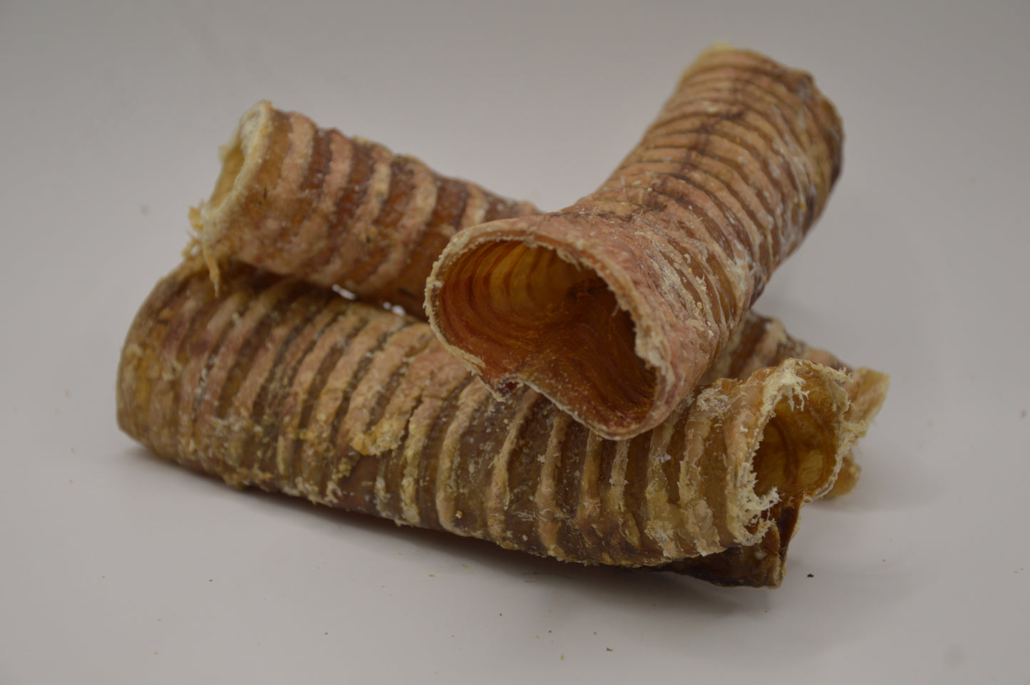 Lamb Trachea (single)