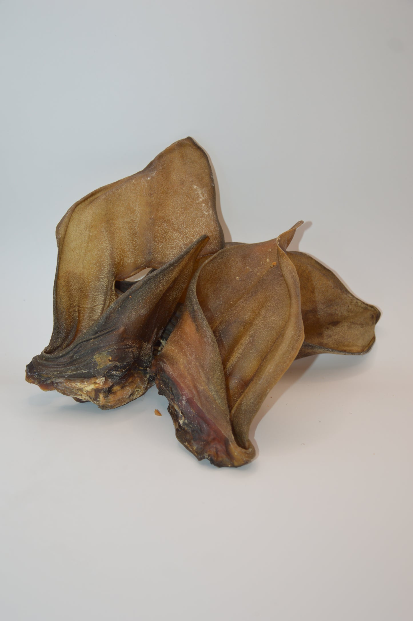 Natural Cow Ear (single)