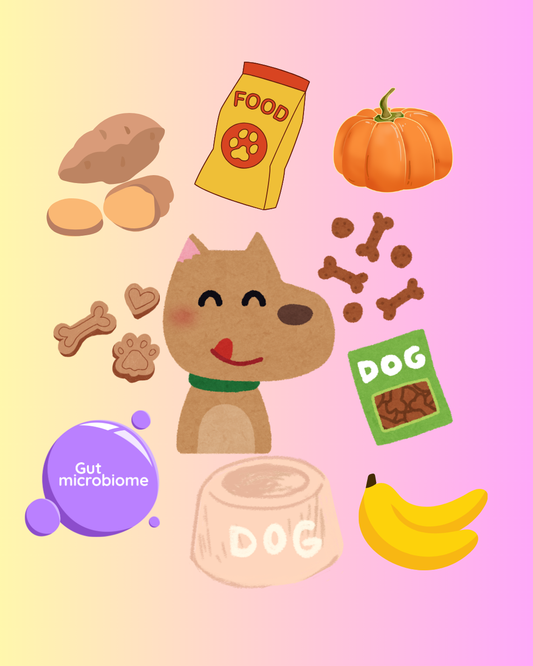Benefits of Prebiotics & Probiotics for Dogs