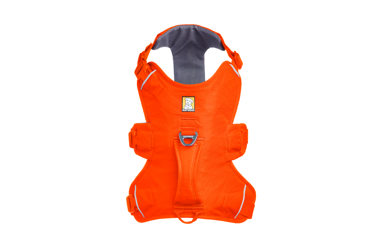 Ruffwear Webmaster Harness