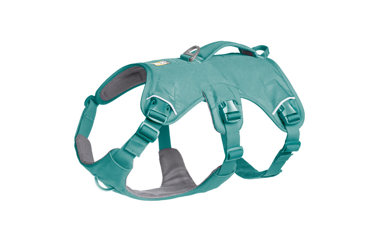Ruffwear Webmaster Harness