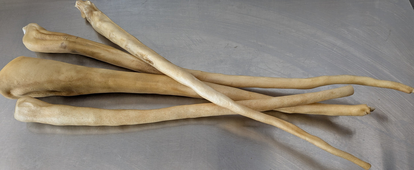Whole Buffalo Tail (Single)