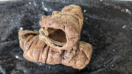 Buffalo Trachea wrapped in Lung (Single)