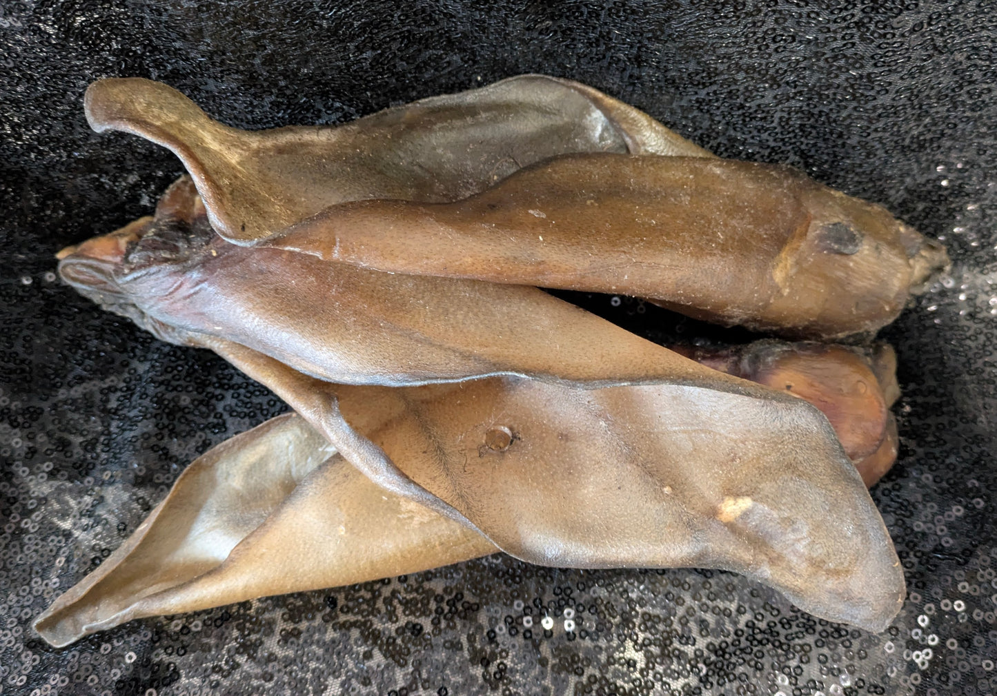 Buffalo Ear (single)