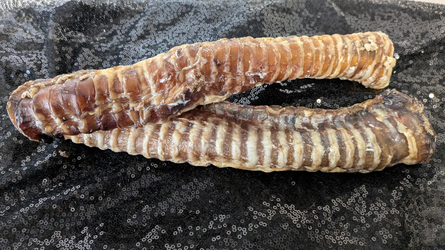 Buffalo Trachea (Single)