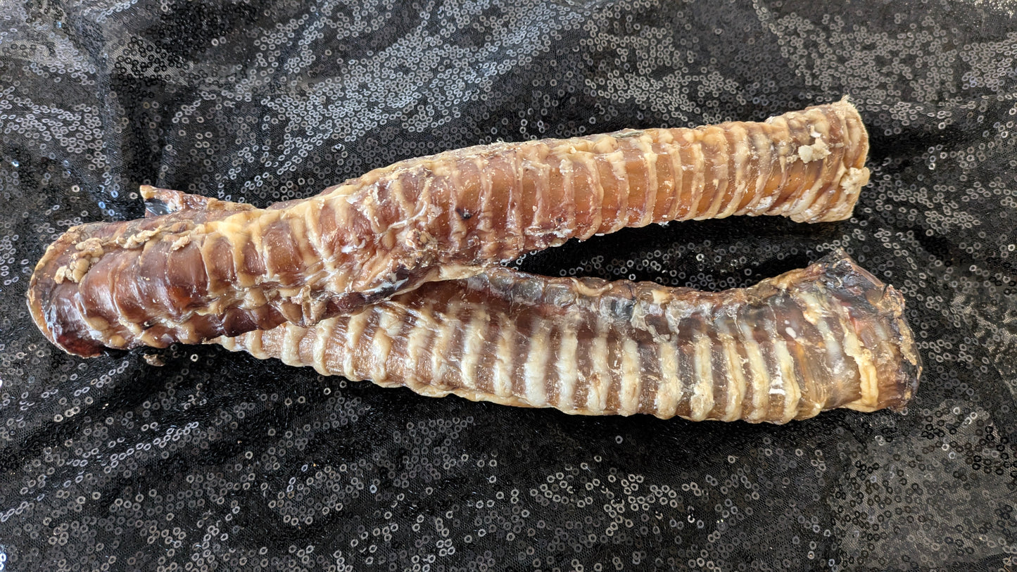 Buffalo Trachea (Single)