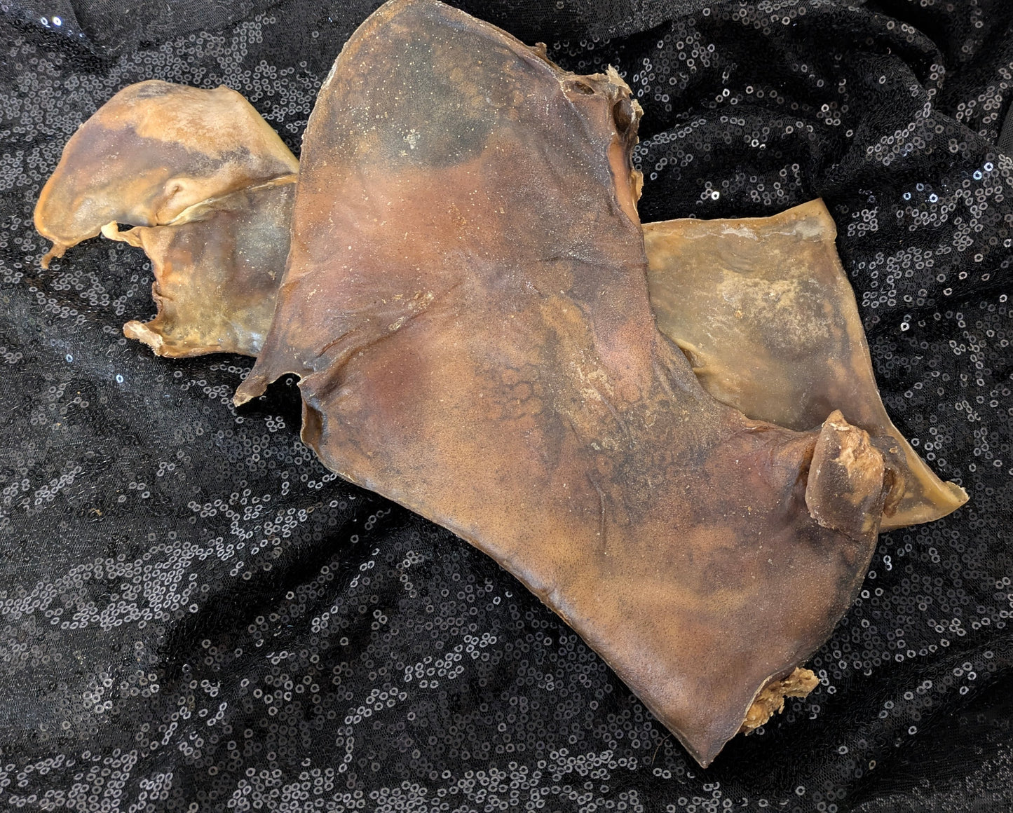 Camel Skin Plate (Single)