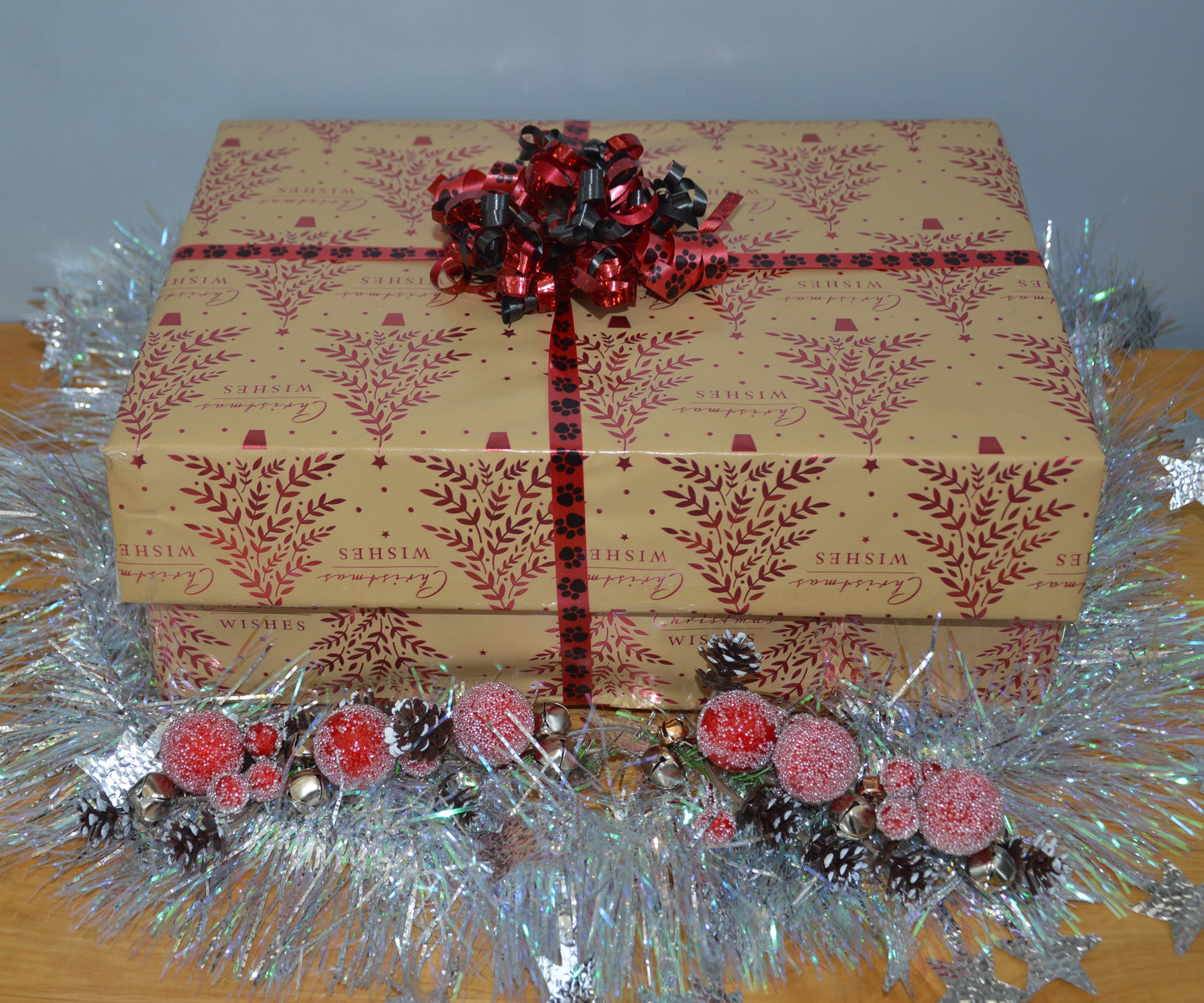 K9 Trail Time – Secret Santa Dog Treat Appeal (Donation of a Christmas Mystery Bag to RSPCA Llys Nini)