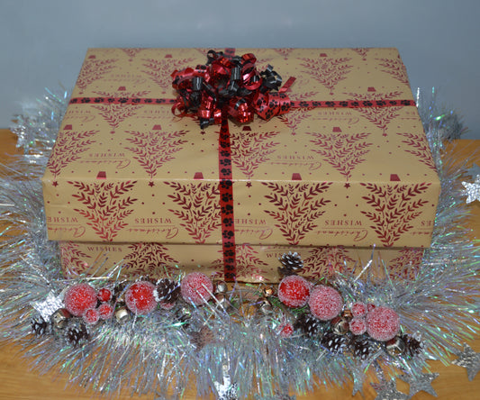 K9 Trail Time – Secret Santa Dog Treat Appeal (Donation of a Christmas Mystery Bag to RSPCA Llys Nini)