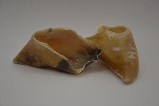 Hooves (single)