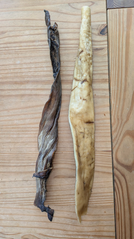 Giant Deer Skin (Single)