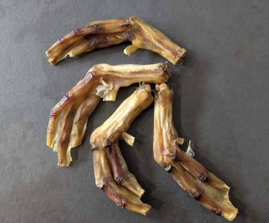 Duck Feet (Single)