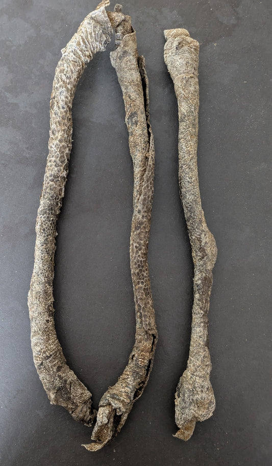 Giant Buffalo Stick (Single)