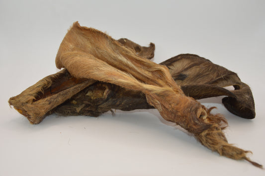 Goats Ear with Hair 3 pk