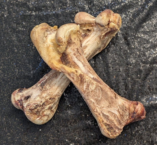 Jumbo Ostrich Bone (Single)