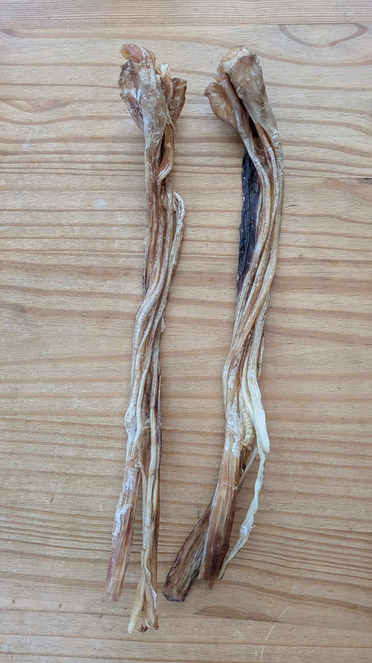 Giant Ostrich Tendon (Single)