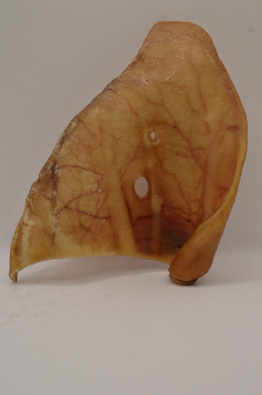 Natural Pigs Ear (Single)