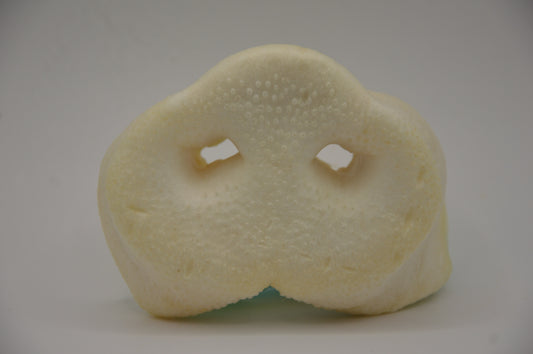 Puffed Pig Noses (single)