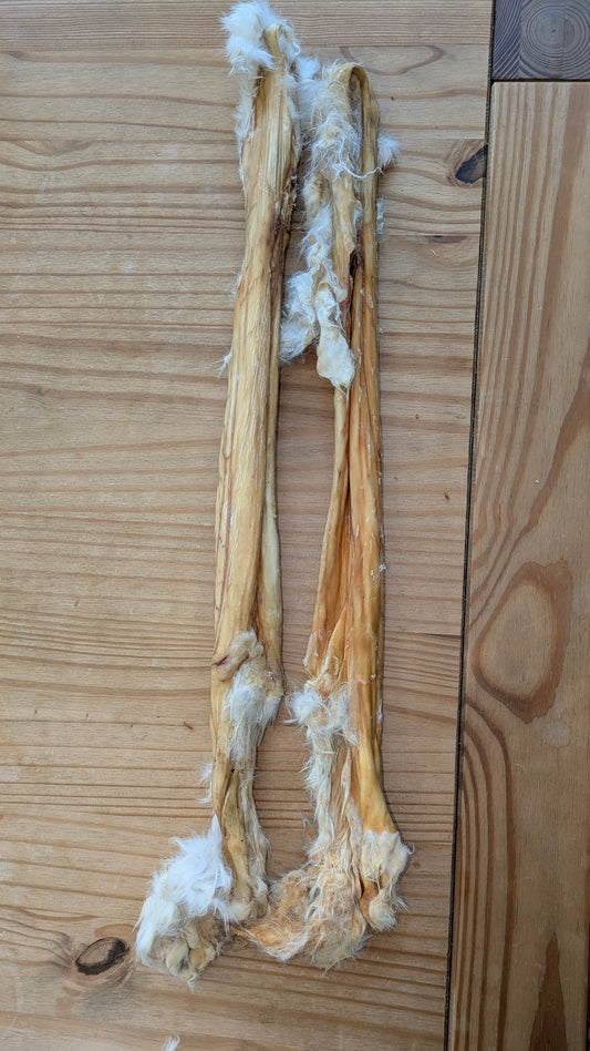 Giant Rabbit Skin with Hair (Single)