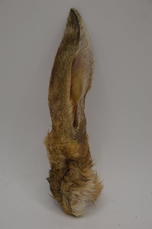 Rabbit Ears with Hair 100g