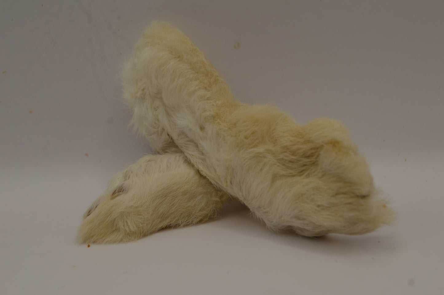 Rabbit Foot with Hair