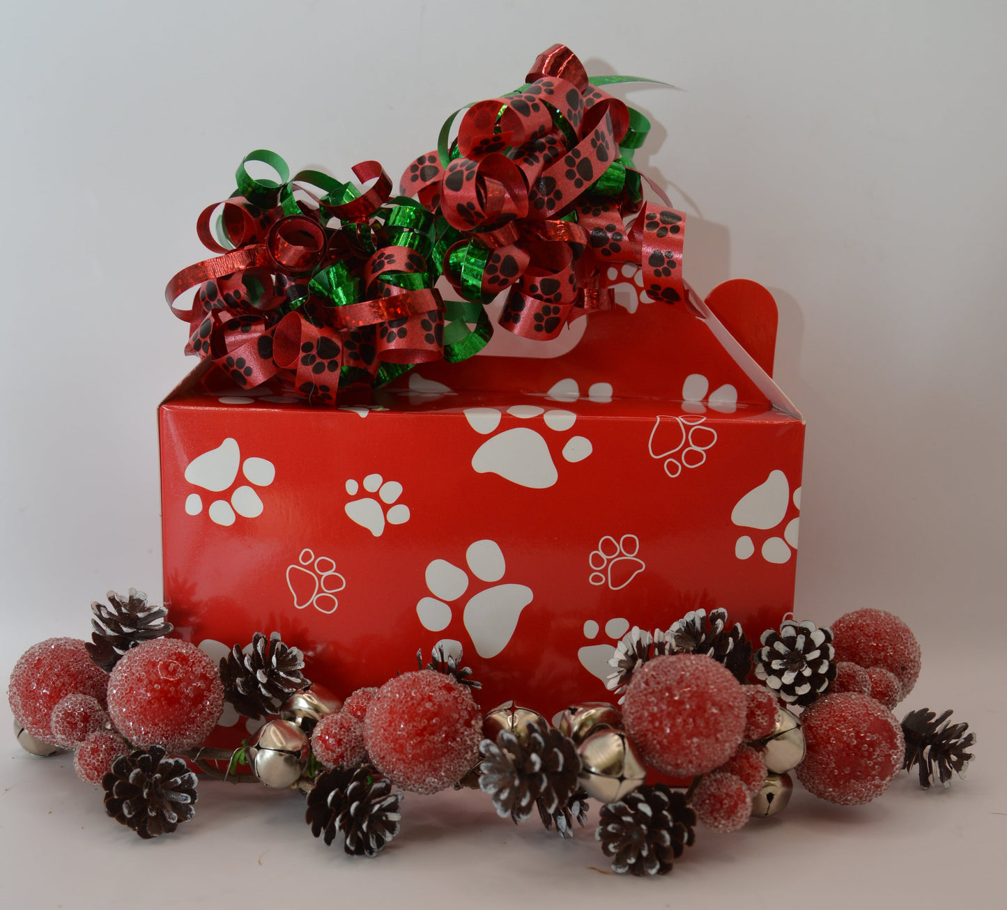 Red Paw Box